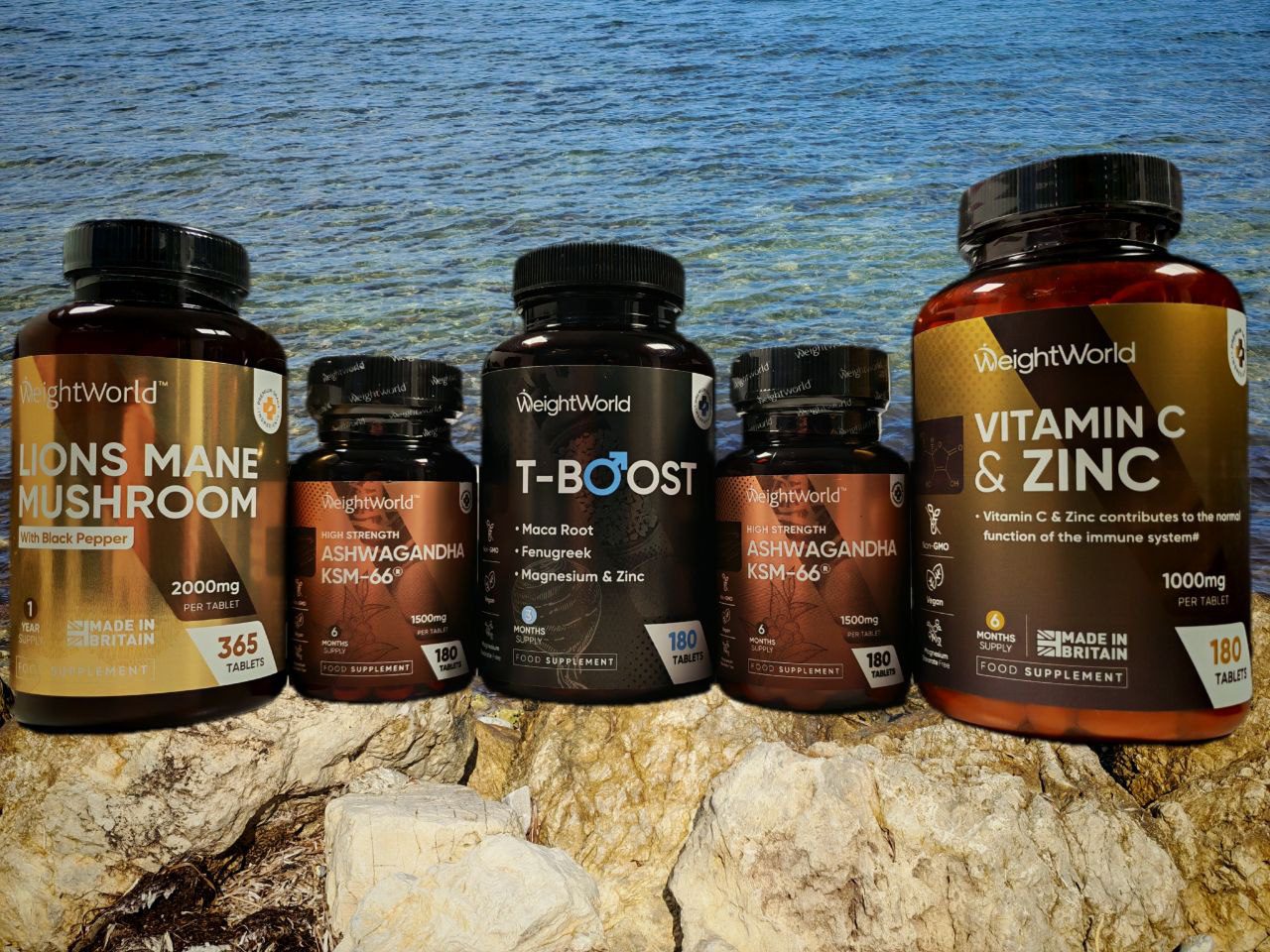 3-in-1 Energy & Focus Combo